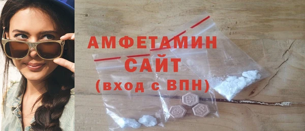индика Бородино
