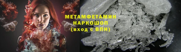 индика Бородино