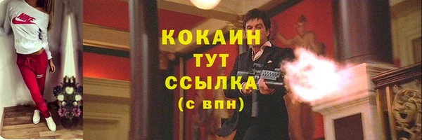 крисы Бронницы