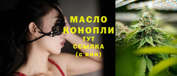 индика Бородино