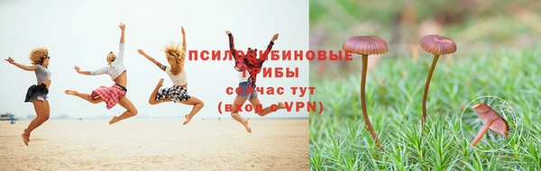 мяу мяу кристалл Бугульма