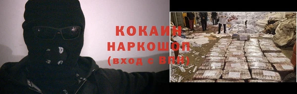 индика Бородино