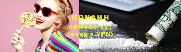 индика Бородино