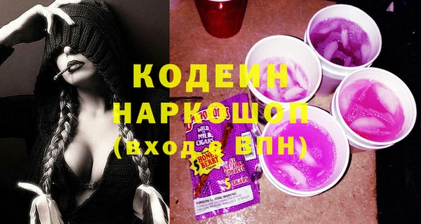 индика Бородино