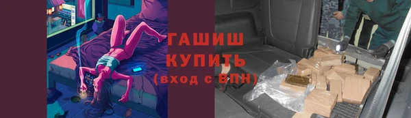 индика Бородино