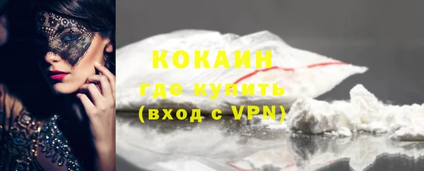 крисы Бронницы