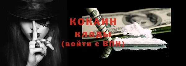 крисы Бронницы