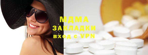 индика Бородино
