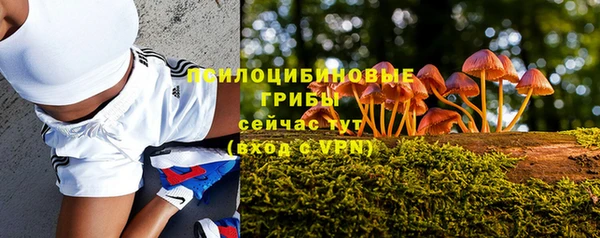 индика Бородино