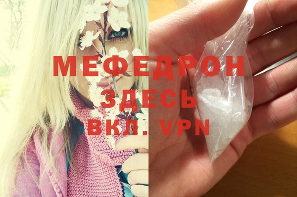 индика Бородино