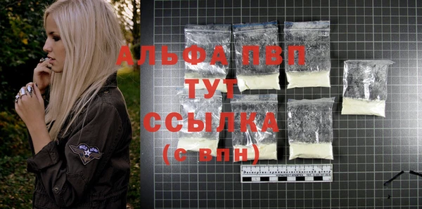 индика Бородино