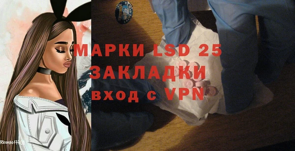 индика Бородино