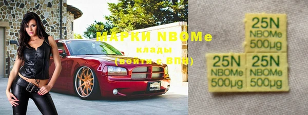 индика Бородино