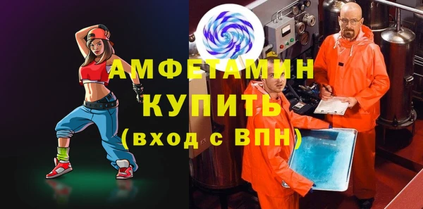 индика Бородино