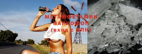 индика Бородино
