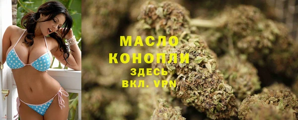 индика Бородино