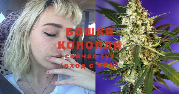 индика Бородино
