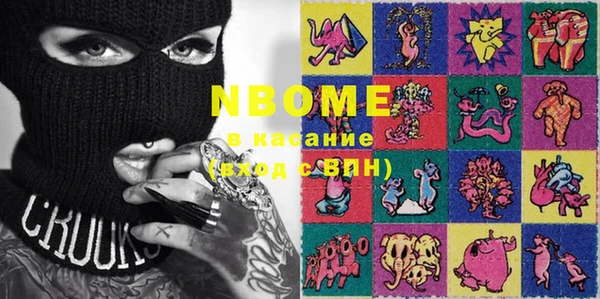 индика Бородино