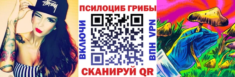 блэк спрут ссылки  Сосногорск  Галлюциногенные грибы Psilocybe 